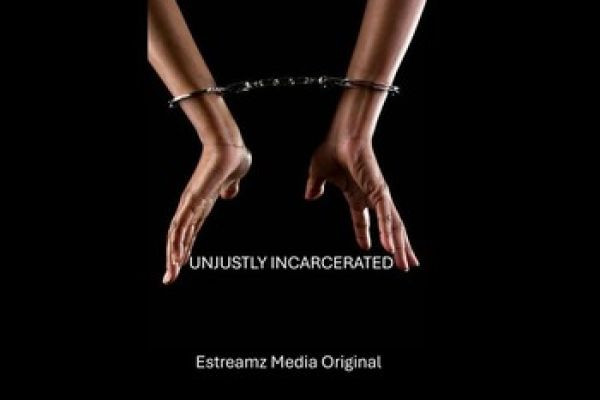 Dairy Of The Unjustly Incarcerated
